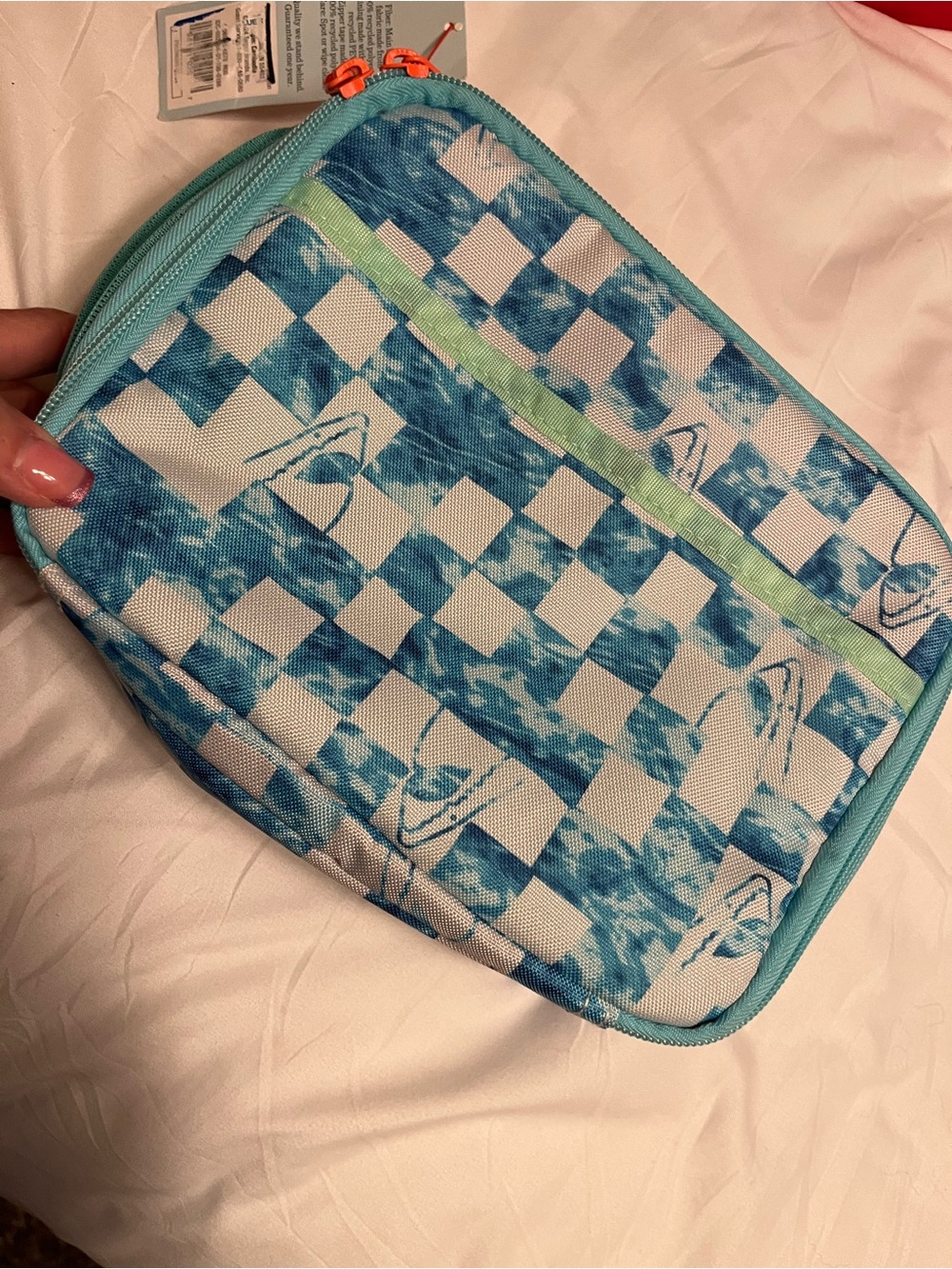 Shark lunchbox